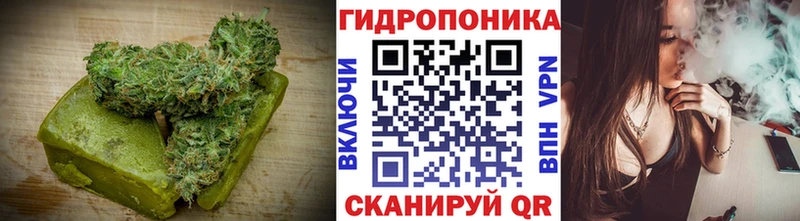 Cannafood марихуана  гидра маркетплейс  Грайворон 
