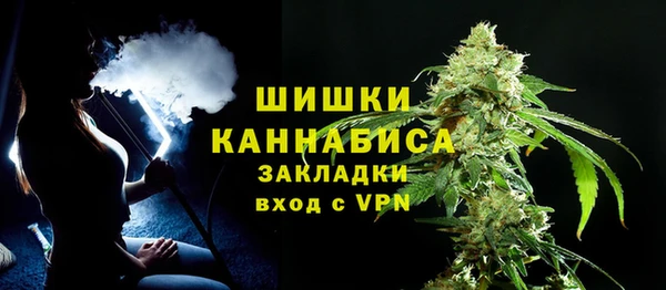 индика Алзамай
