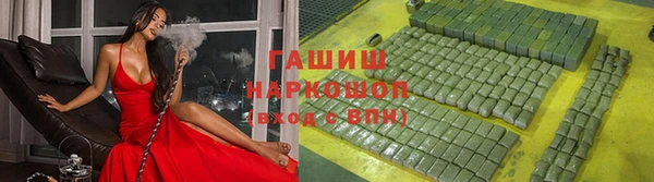 индика Алзамай