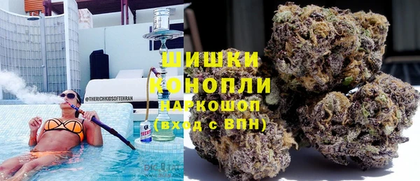 шишки Алексин
