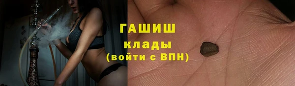 индика Алзамай