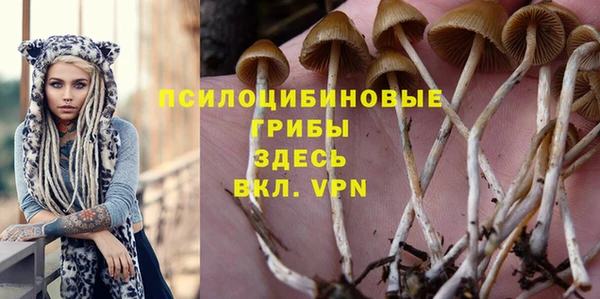 шишки Алексин