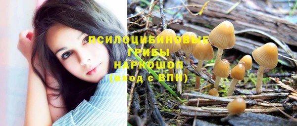 шишки Алексин