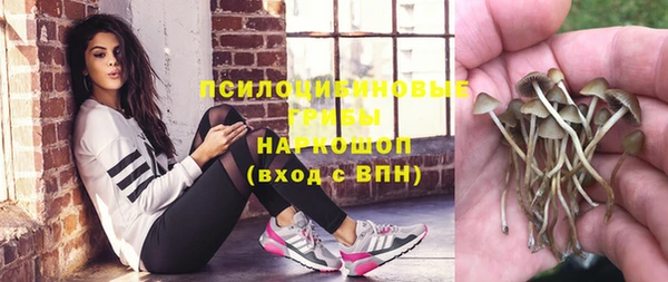 шишки Алексин