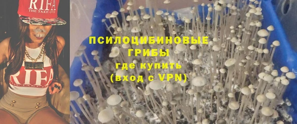 индика Алзамай