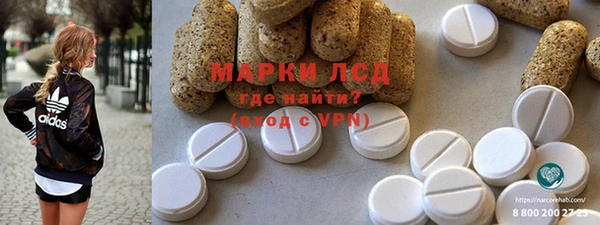 индика Алзамай