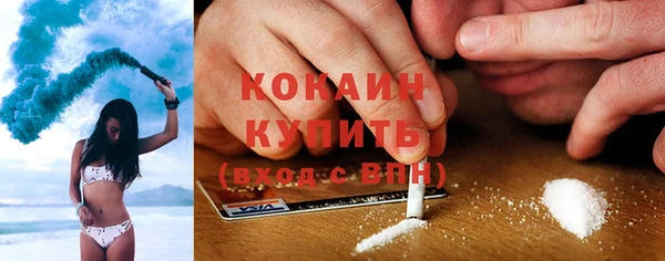 шишки Алексин