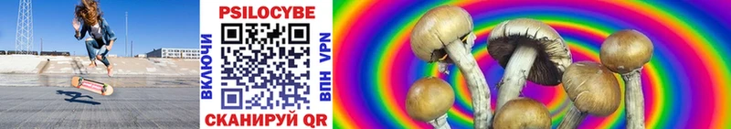 Галлюциногенные грибы Psilocybine cubensis  shop как зайти  Грайворон  закладки 